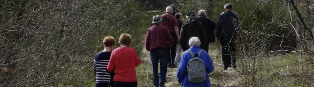 Wanderung einer Seniorengruppe im Hessischen Ried.