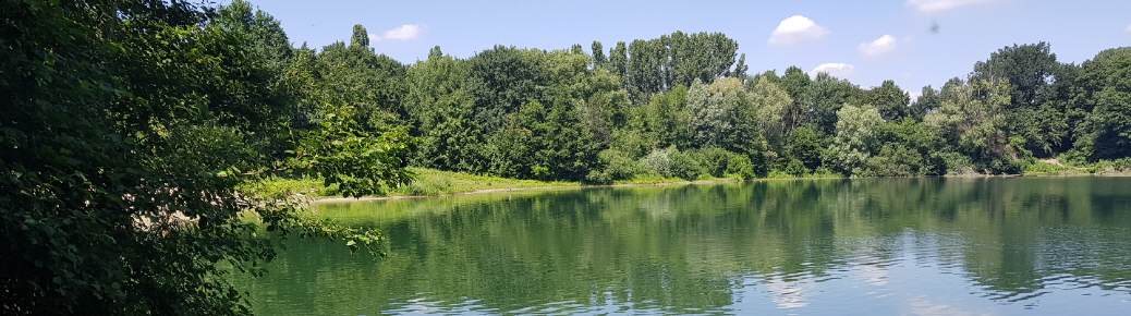 Der Erlensee