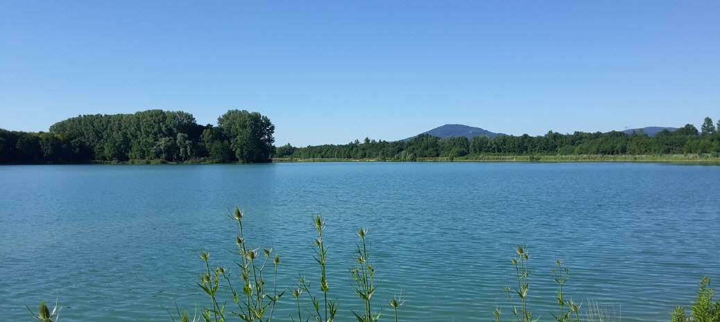 Erlachsee