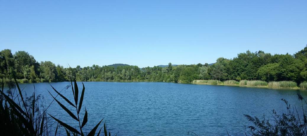 Der Erlachsee liegt an der Autobahn A5.