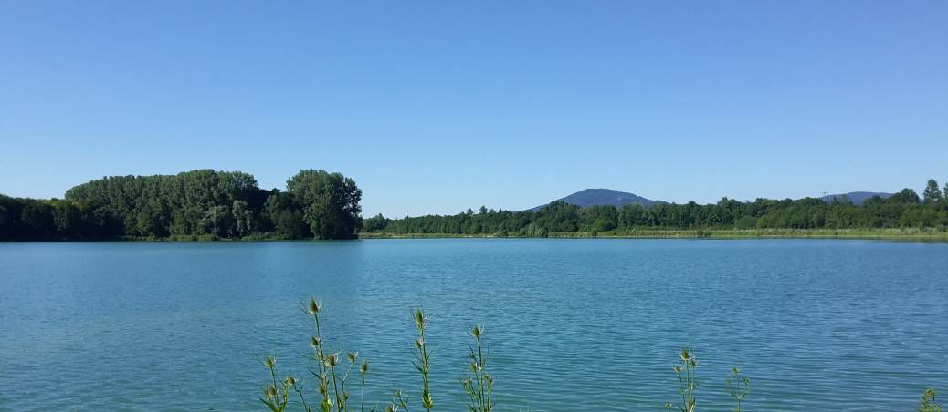 Blick auf den Erlachsee.
